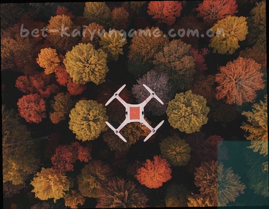 手持移动设备查看球队订阅与收藏界面的动态剪影